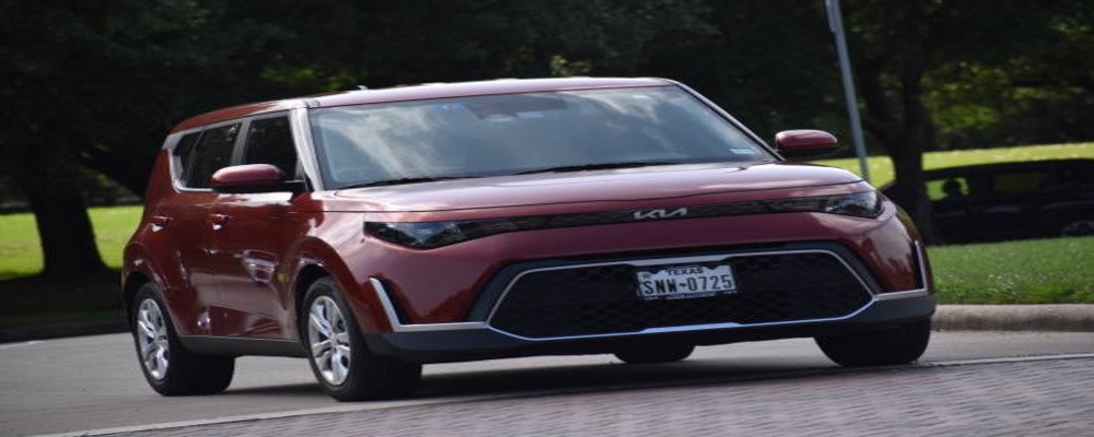 LAX Airport Payless Rent- A- Car Fleet Details